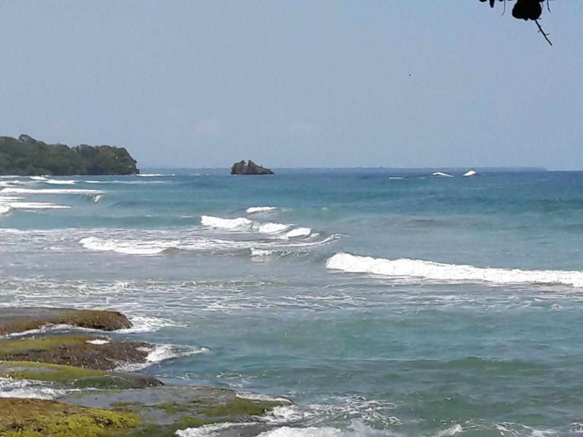 Hotel Casa Conley Del Mar Puerto Viejo de Talamanca Екстер'єр фото