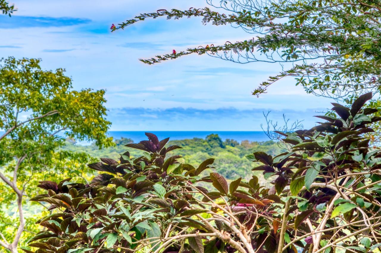 Hotel Casa Conley Del Mar Puerto Viejo de Talamanca Екстер'єр фото
