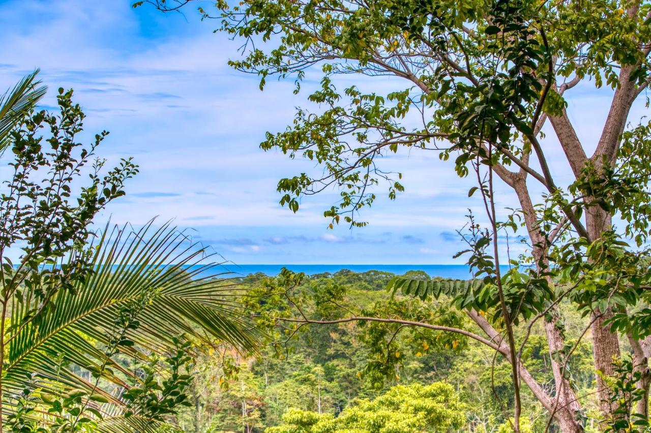 Hotel Casa Conley Del Mar Puerto Viejo de Talamanca Екстер'єр фото