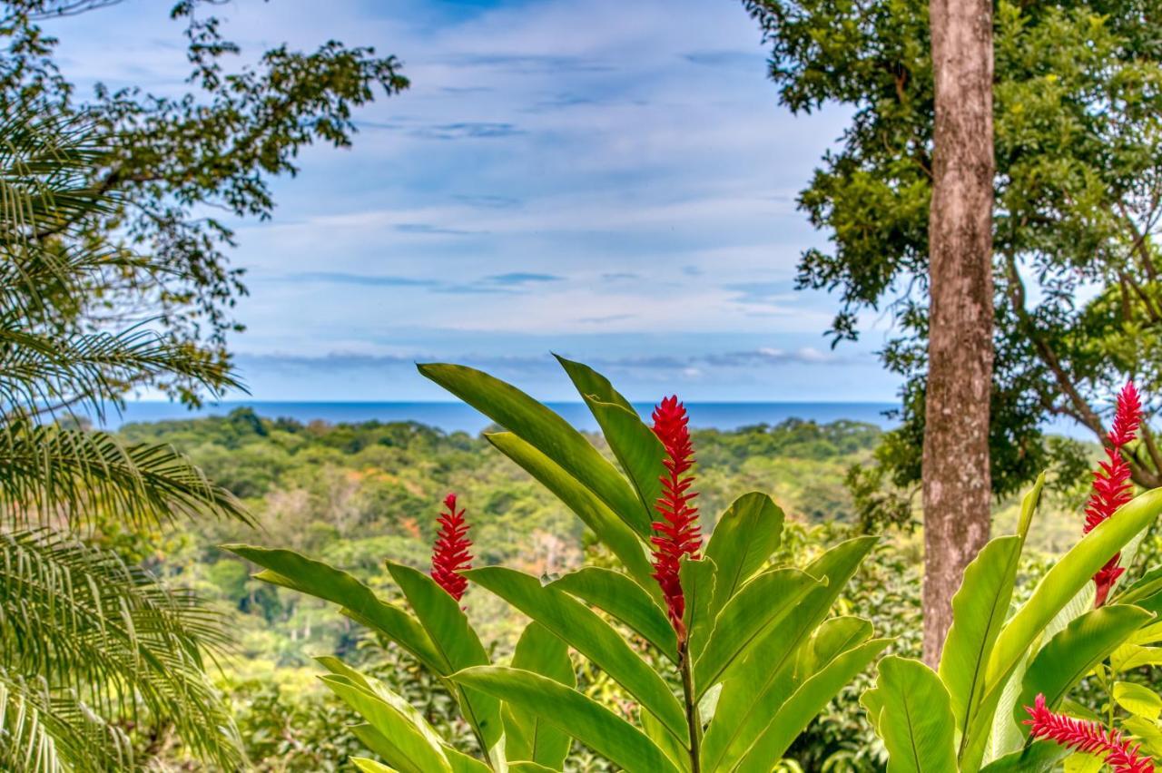 Hotel Casa Conley Del Mar Puerto Viejo de Talamanca Екстер'єр фото